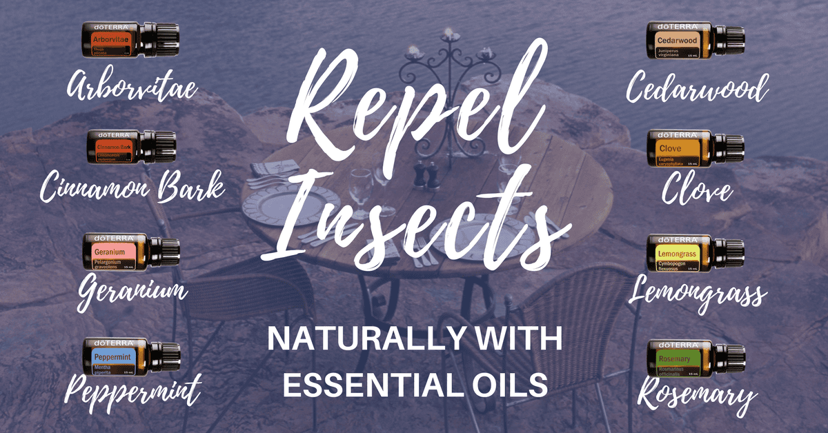Repel Insects Naturally with Essential Oils