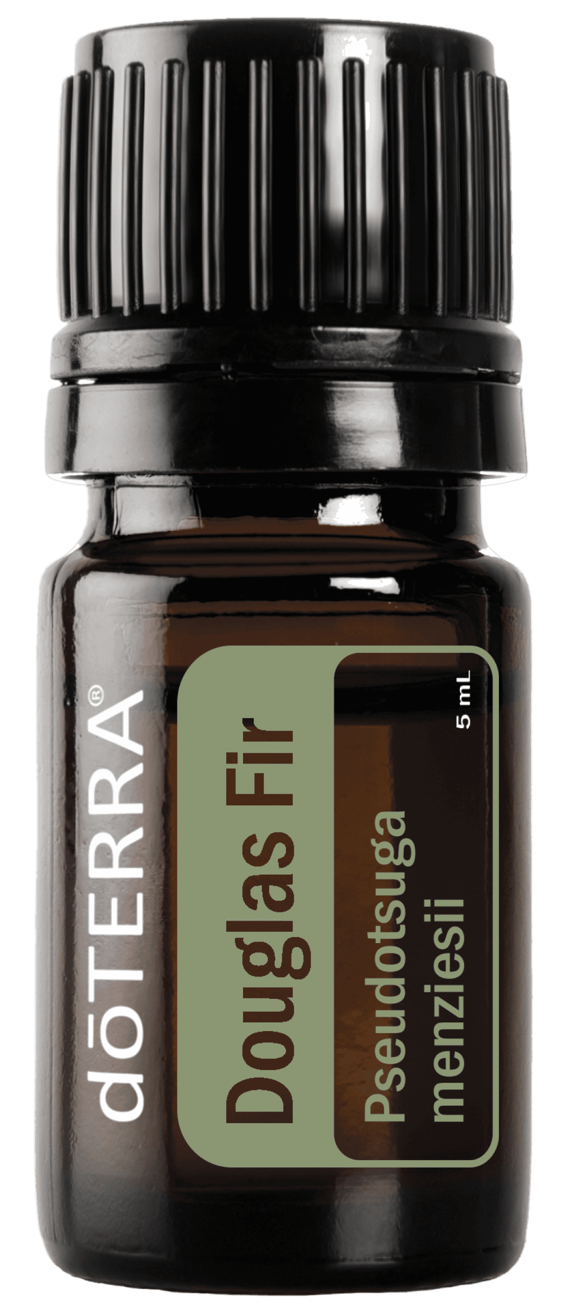 Transparent-DouglasFir-5mL-SingleOils_DKd1-T01