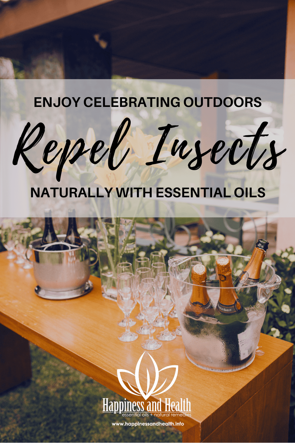 Repel Insects 2